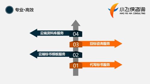 東方市標書制作與咨詢服務優(yōu)選——小飛俠標書公司